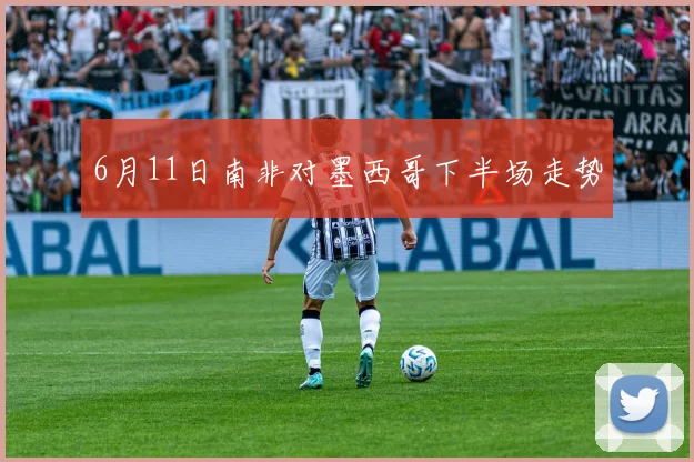 6月11日南非对墨西哥下半场走势
