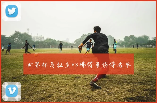 世界杯乌拉圭vs佛得角伤停名单