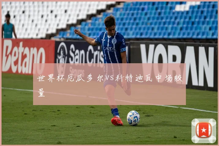 世界杯厄瓜多尔vs科特迪瓦中场较量