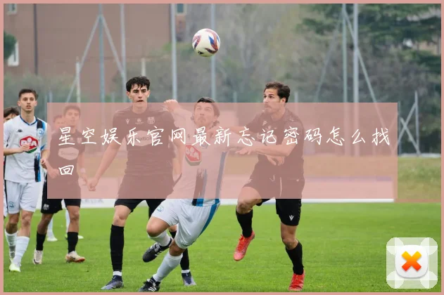 星空娱乐官网最新忘记密码怎么找回